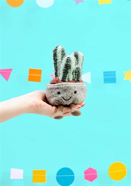 Silly Succulent Columnar Cactus is a stout little sweetie with a mighty name! Squat and scrumptious in a felty beige pot, with fluffy toffee soil and cordy boots, this cactus has four squidgy two-tone stalks. Stripey, stocky, green and giggly, this succulent's super-sassy!
